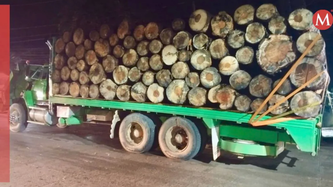 Caen 3 personas que transportaban madera ilegal en Valle de Bravo, Edomex; uno es menor de edad