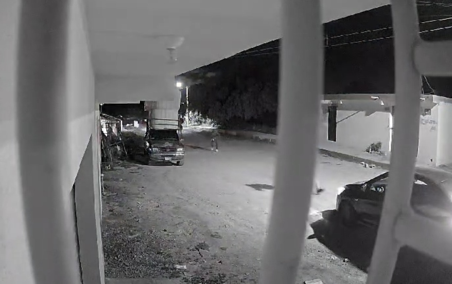 Camara de vigilancia grabó ataque armado.