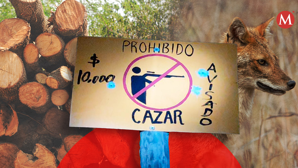 Ciudadanos se organizan para cuidar flora y fauna en Hidalgo.