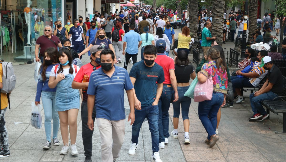 El estudio de la comunidad Somos Colmena se realizó en Monterrey, Puebla y Oaxaca | Leonel Rocha