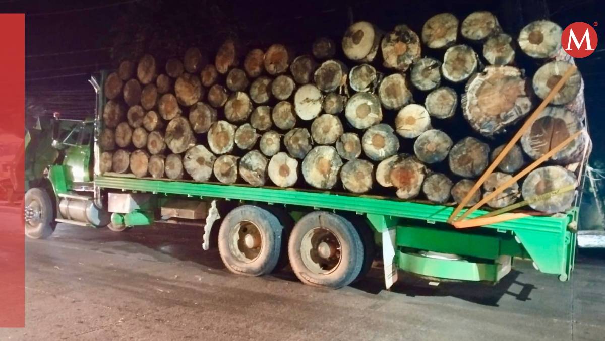 Una llamada al Centro de Mando alertó sobre personas armadas a bordo de unidades de carga con madera. Especial