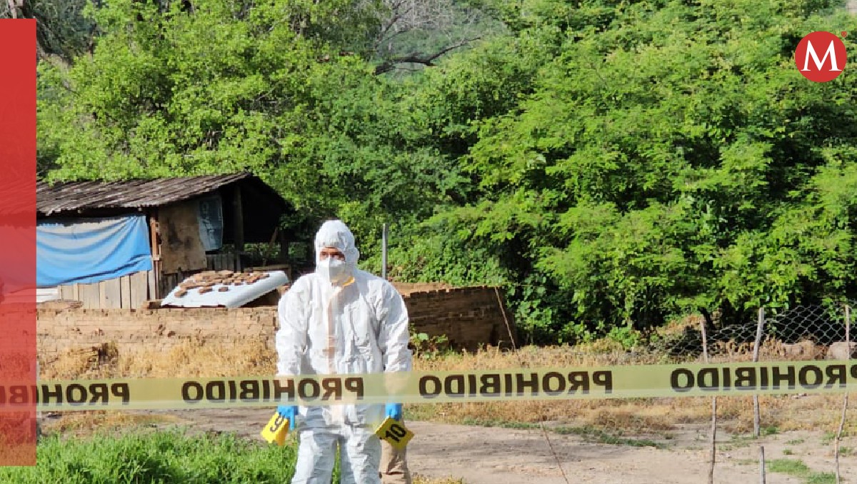 Autoridades realizaron el acordonamiento de la zona donde fueron encontrados los cuerpos. Foto: (Especial)