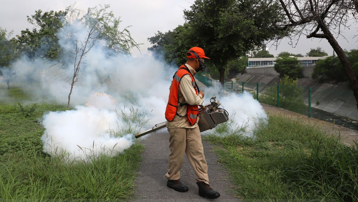 Deshierbe y fumigación en el parque Arroyo Seco | Luis Guerra