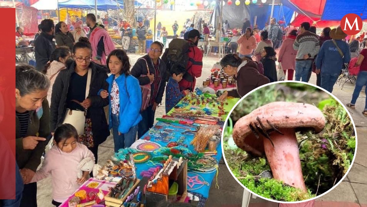 El hongo es un alimento muy importante en la región de los volcanes. Foto: (Especial)