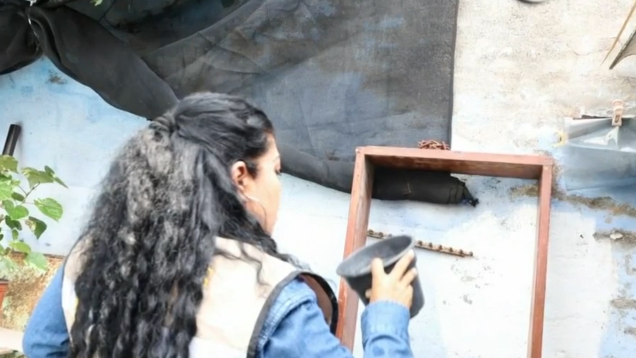 Se duplican casos de dengue en Colima respecto al año pasado