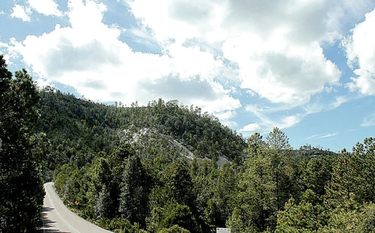 Sierra de Zapalinamé en Coahuila. l Archivo