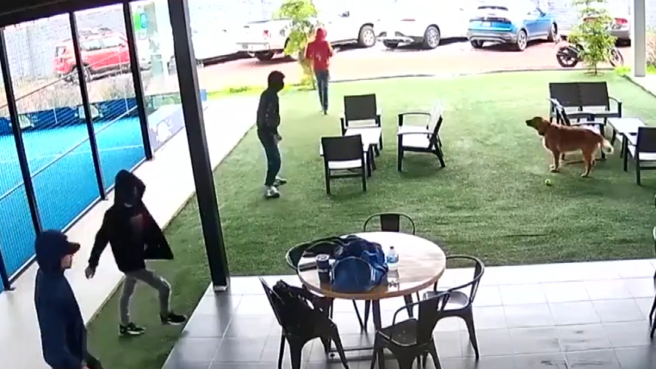 Hombres armados asaltan deportivo en Michoacán; roban dinero y autos