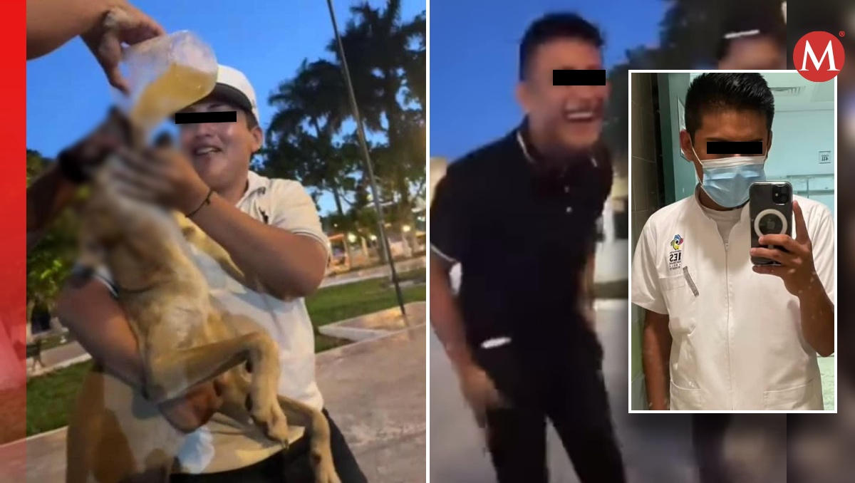 Los jóvenes le dieron bebidas alcohólicas a 'Goliath' un perrito en situación de calle, en Yucatán. | Especial