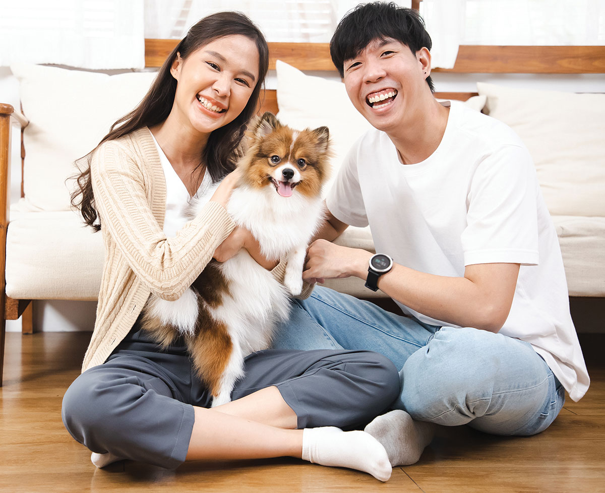 Las familias chinas prefieren una mascota antes que un hijo.