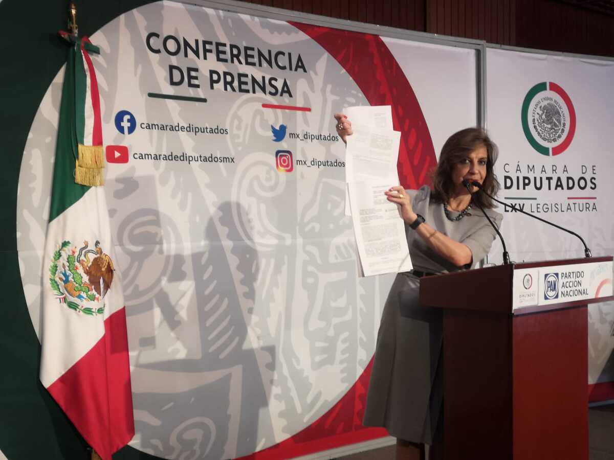 María Elena Pérez-Jaén, diputada de Acción Nacional (Foto: Fernando Damián)