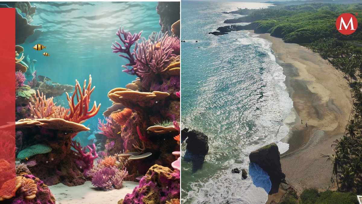 Los arrecifes artificiales serán distribuidos en toda la costa de Michoacán. | Frrepik y Especial