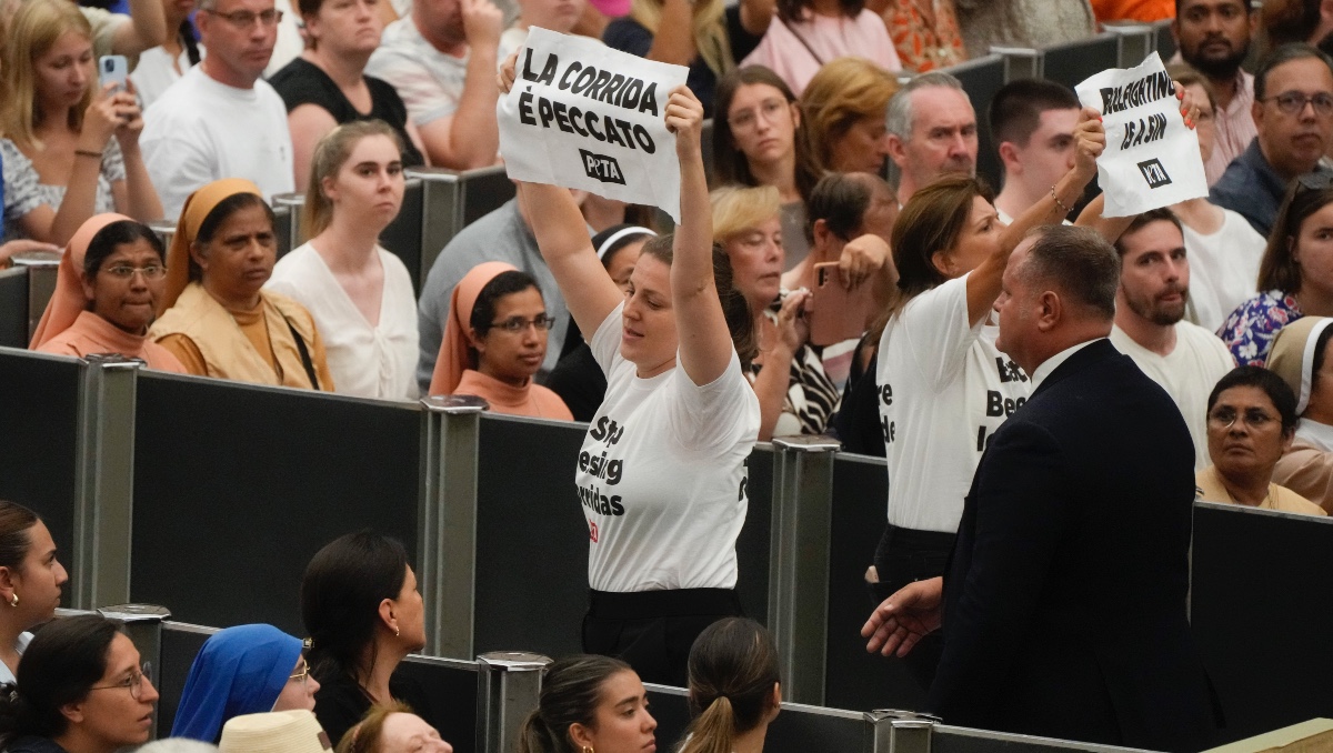 Manifestantes de PETA irrumpen audiencia del papa Francisco donde piden condenar la tauromaquia | AP