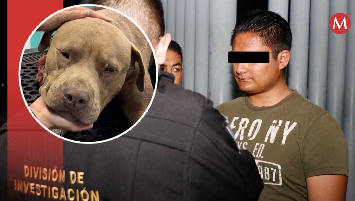 Momento de la detención del agresor de "Jefazo" en Mineral de la Reforma