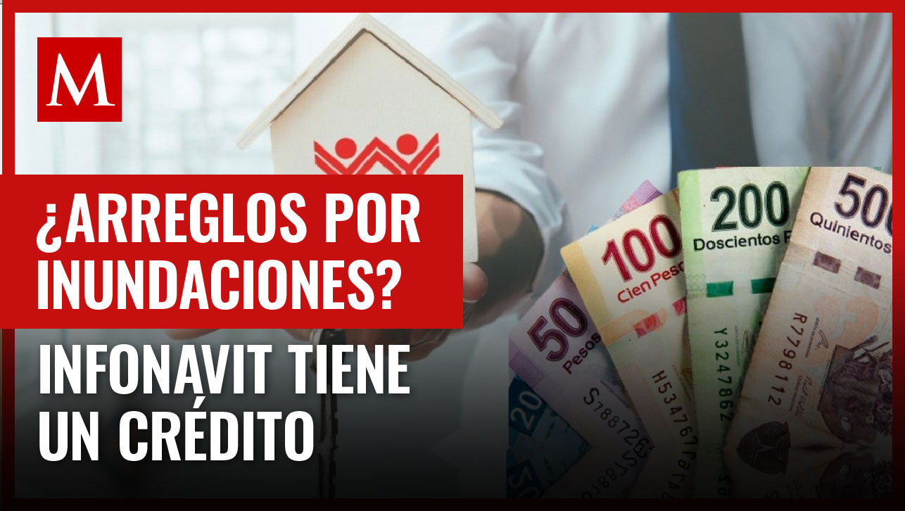 Conoce los créditos que el Infonavit ofrece para las mejoras de tu ...