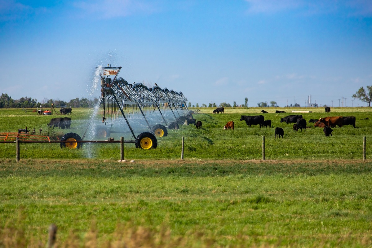 Para Sader, la eficiencia del agua en el campo va más allá de la actividad agrícola, involucra a otras dependencias federales. Shutterstock.
