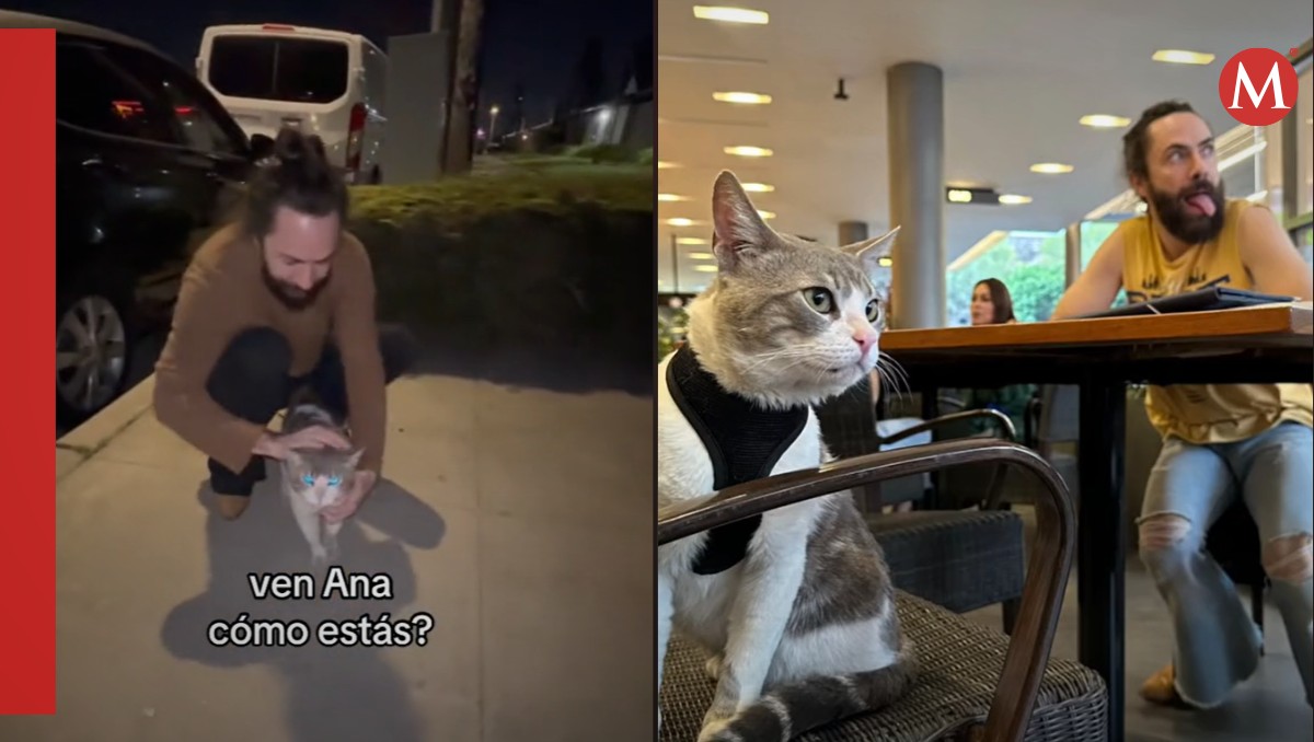 Jay de la Cueva adopta gato de la calle y redes bromean con que tiene dueño