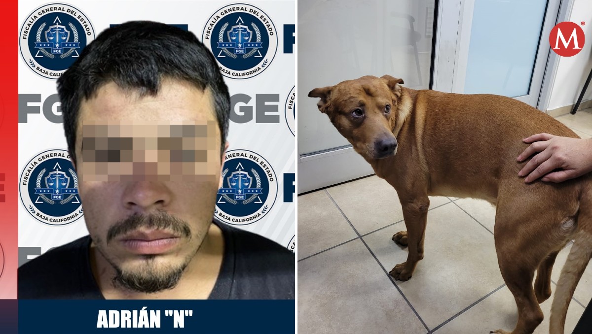 Adrián 'N' fue vinculado a proceso por violencia violencia familiar y maltrato o crueldad animal. | Fiscalía de BC