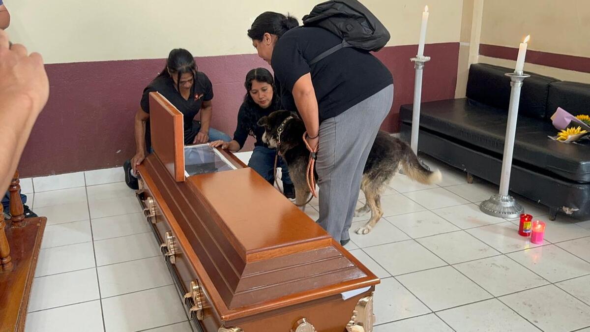 Muere hombre de 101 años en Xalapa: Activistas cumplen su último deseo | Especial