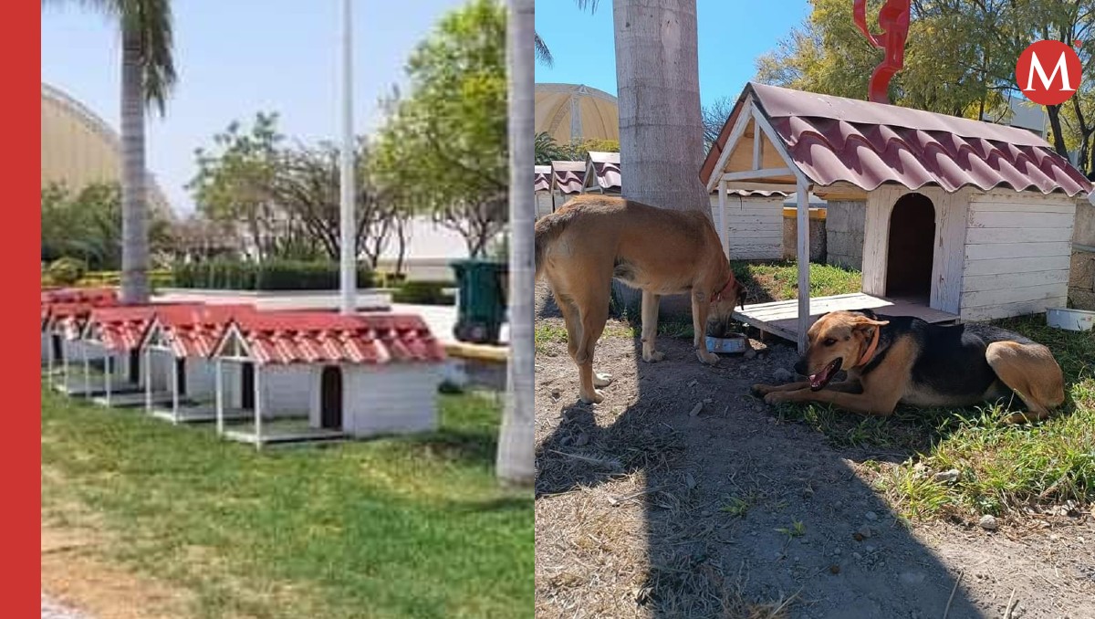 Denuncian posible desaparición de Villa Dogtores en UTT Puebla