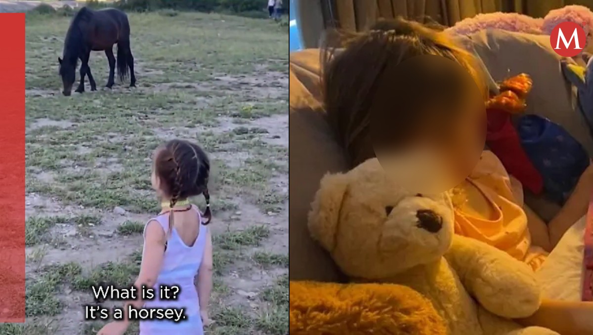 La niña de 3 años fue dada de alta del hospital sin lesión cerebral. | Especial
