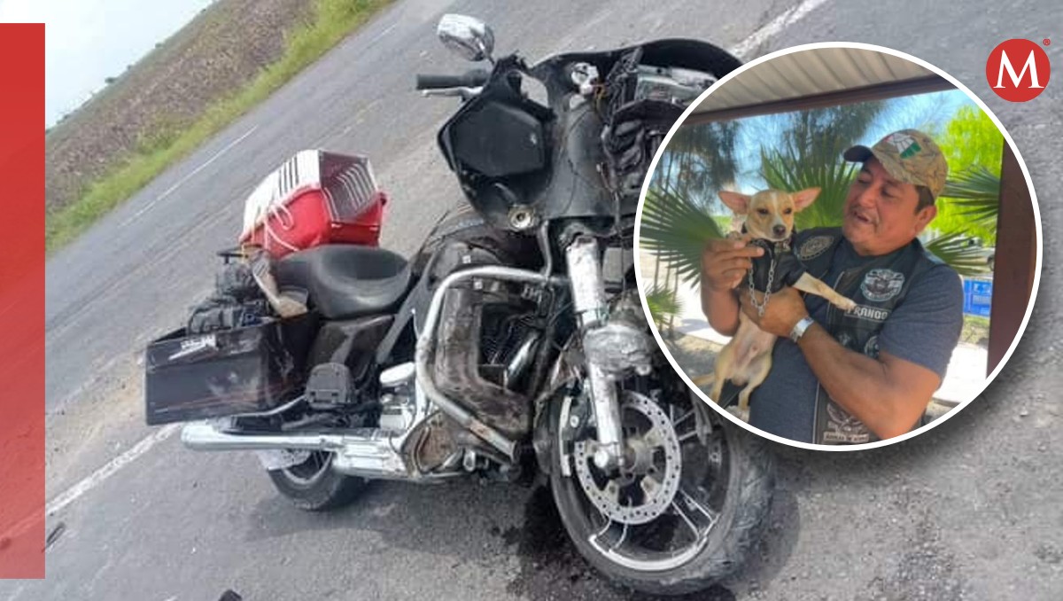Buscan a perrito perdido tras accidente en motocicleta en Reynosa