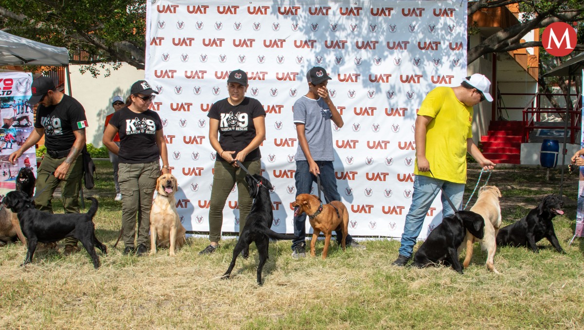 Ponen en adopción a perros que dieron servicio en Tamaulipas
