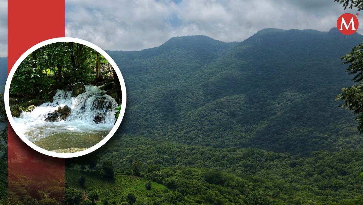 Reserva ecológica El Cielo, Tamaulipas.
