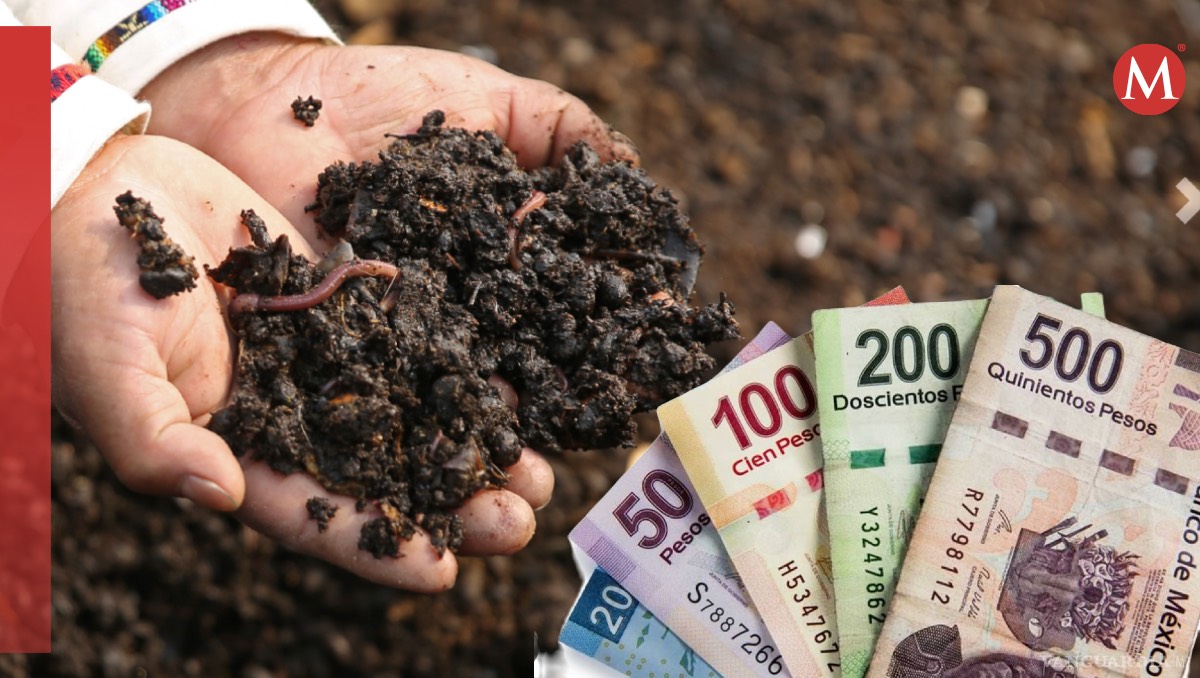 Sembrando vida e sino de los programas vigentes del 2024