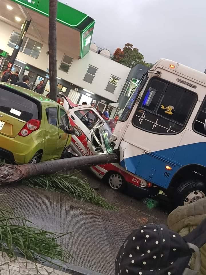 El taxi fue impactado contra una palmera y aplastado por el camión | Especial