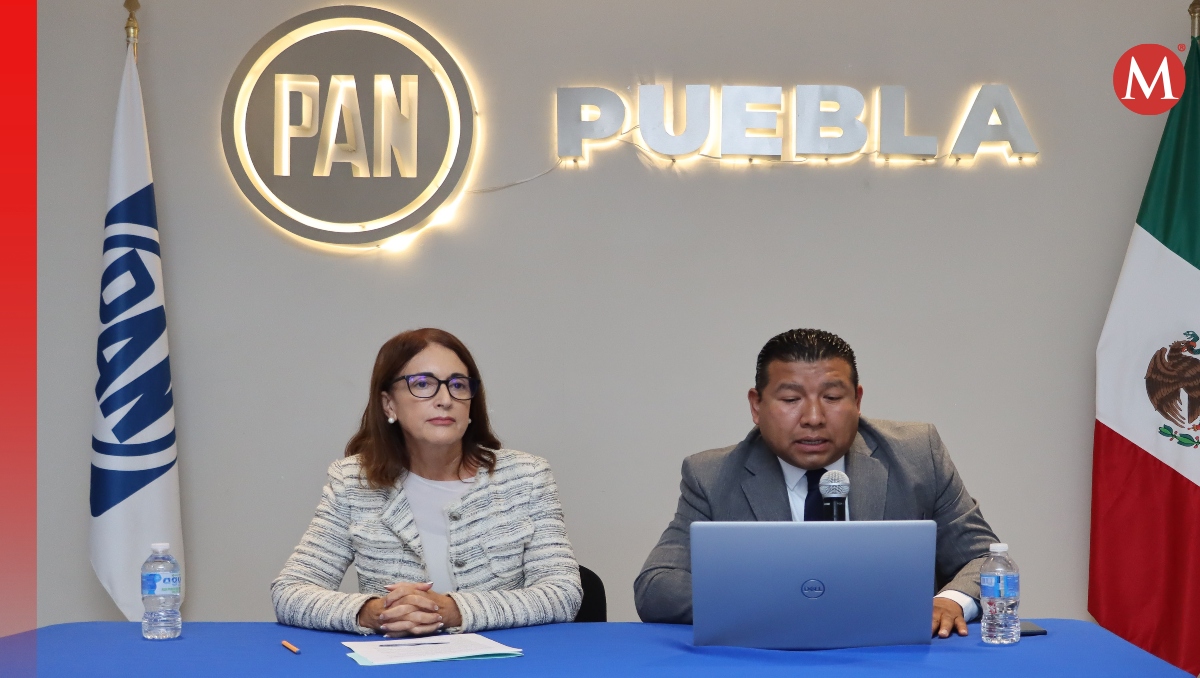 Comités municipales de PAN definirán método de renovación de CDE | EsImagen