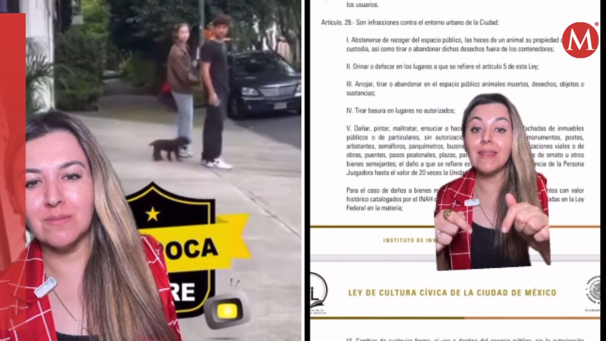 La abogada tomó un ejemplo viral para explicar las sanciones que puedes tener por esta práctica | X