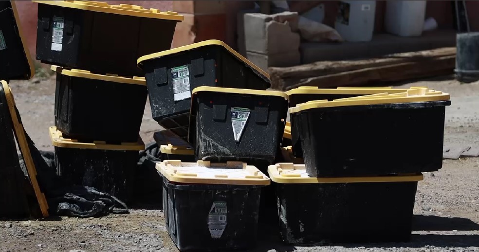 Contenedores abandonados con tortugas muertas en Chihuahua / Especial