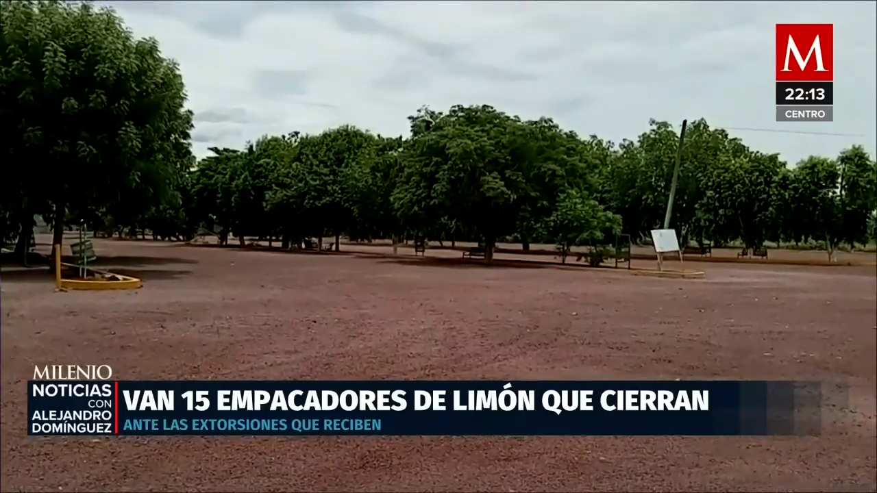 Empacadoras de limón en Michoacán cierran por aumentos de extorsiones