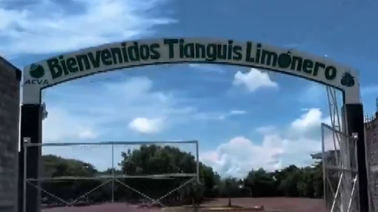 Empresas empacadoras de limón se mantienen paralizadas en Apatzingán