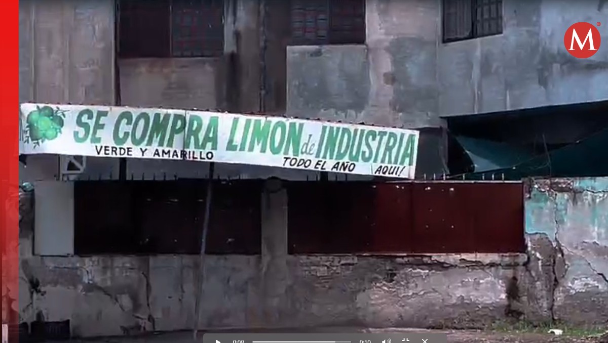 Se estima que ésta decisión podría extenderse esta semana, esperado una mejora en el precio del fruto.