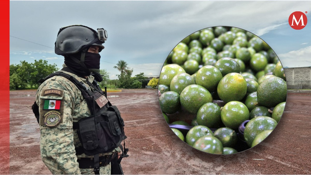 Medidas de seguridad no reactivan operaciones en el Tianguis Limonero de Apatzingán | Especial