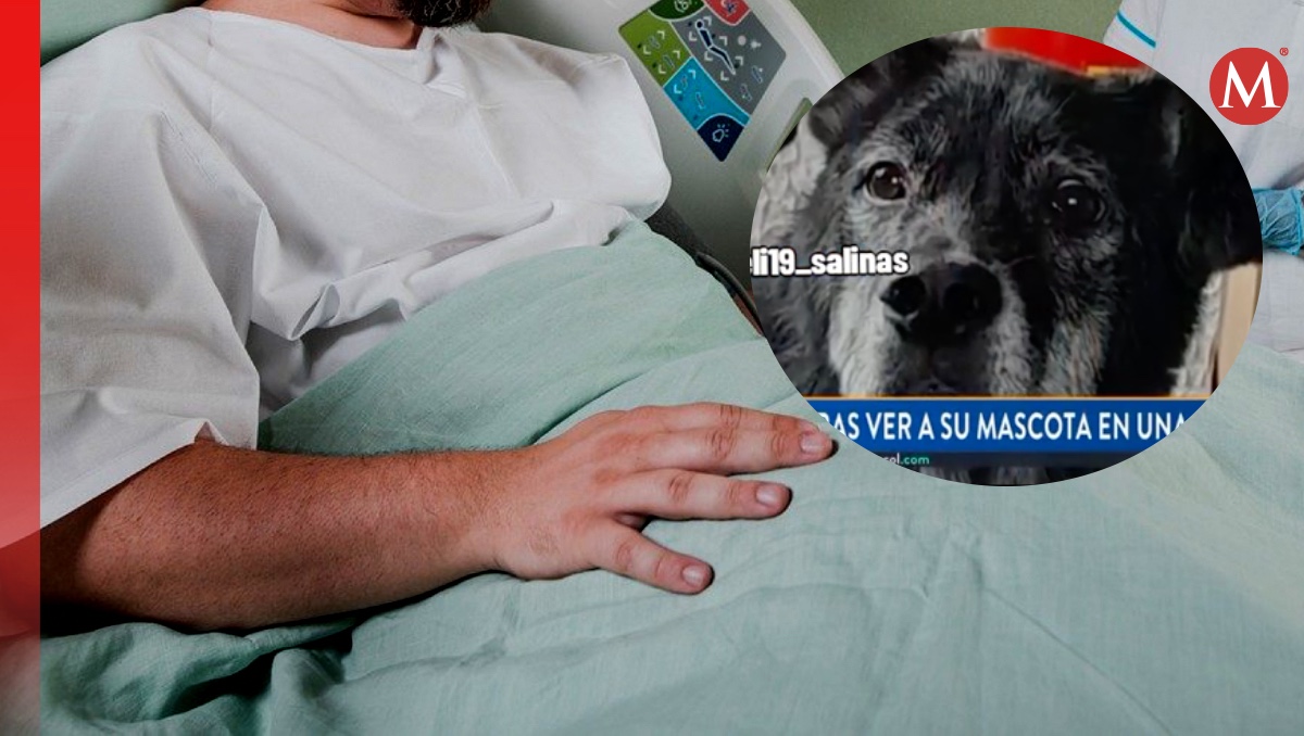 Perrito se despide de su humano enfermo. | ESPECIAL