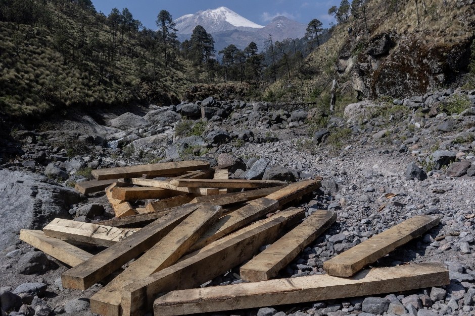 En el recorrido se puede observar cientos de lugares donde la tala ilegal tiene lugar en las faldas del Pico de Orizaba. Fotografía: Iván Castaneira.