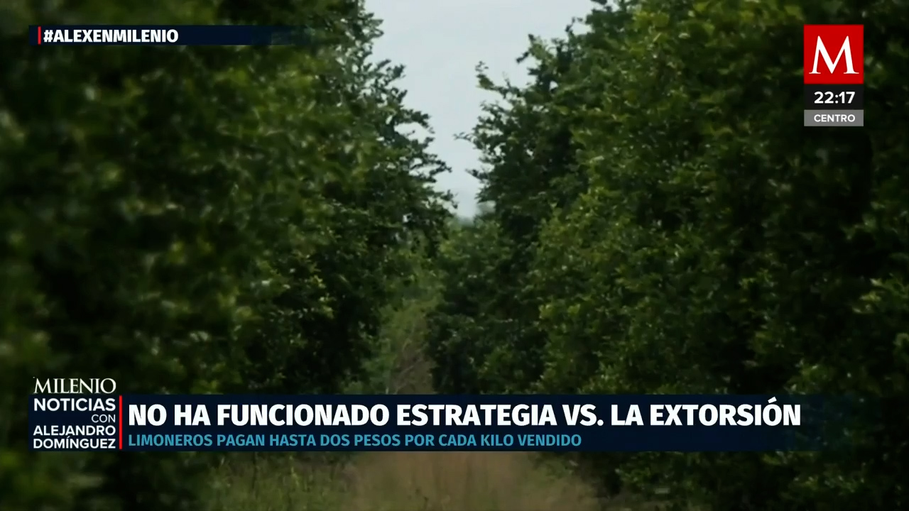Productores de limón en Michoacán prolongan paro para denunciar extorsión criminal