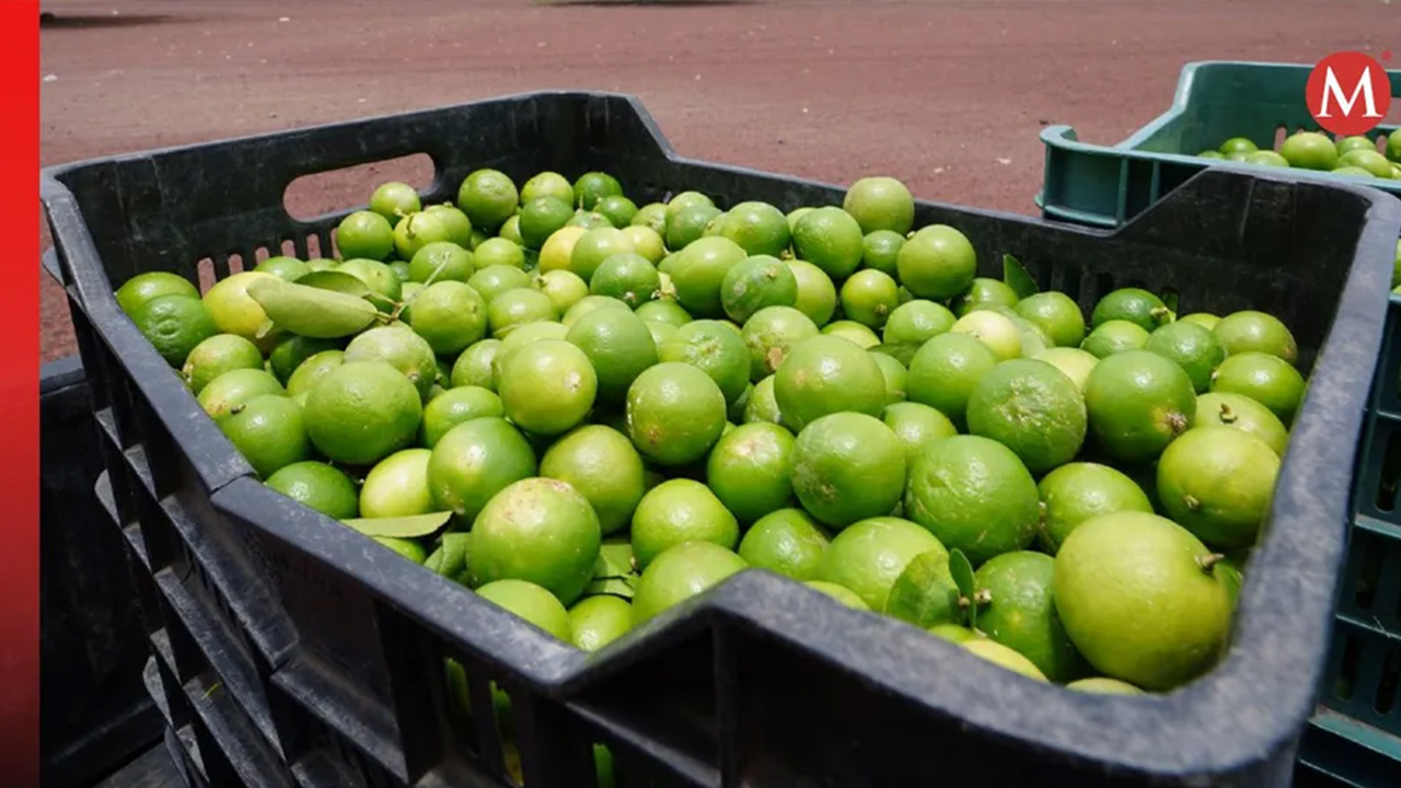 Comerciantes de Pachuca reportan aumento de hasta 10 pesos en el precio del limón