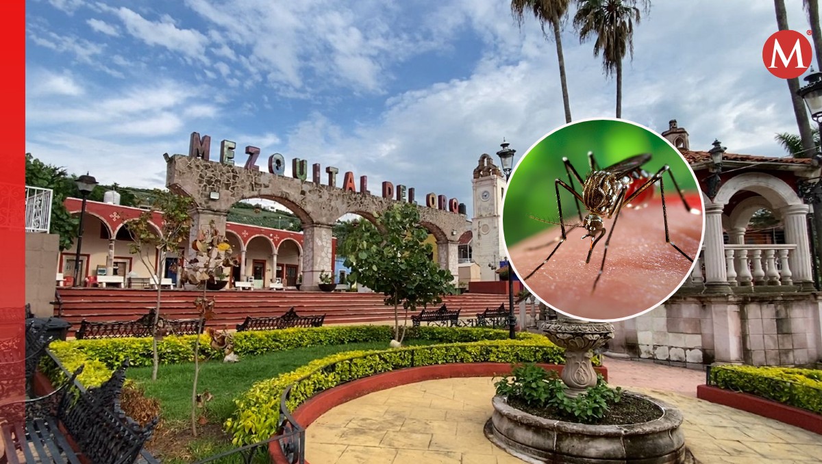 El dengue ha afectado fuertemente a los habitantes de Mezquital del Oro | Especial