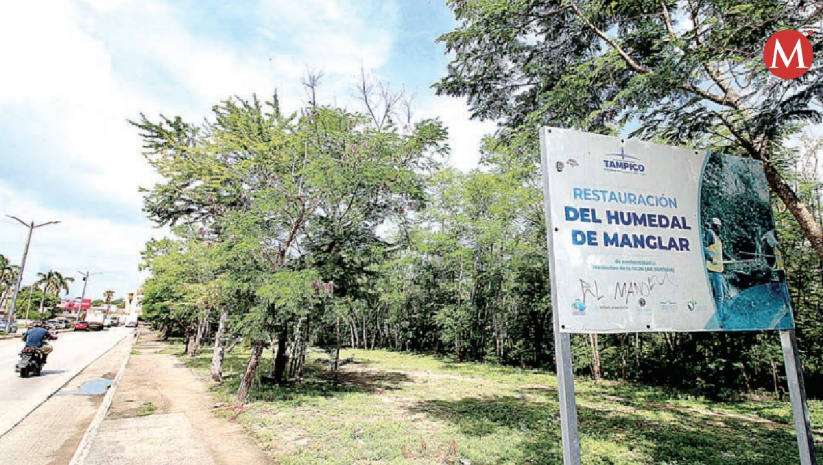 Remediación de la Laguna del Carpintero va al 70%