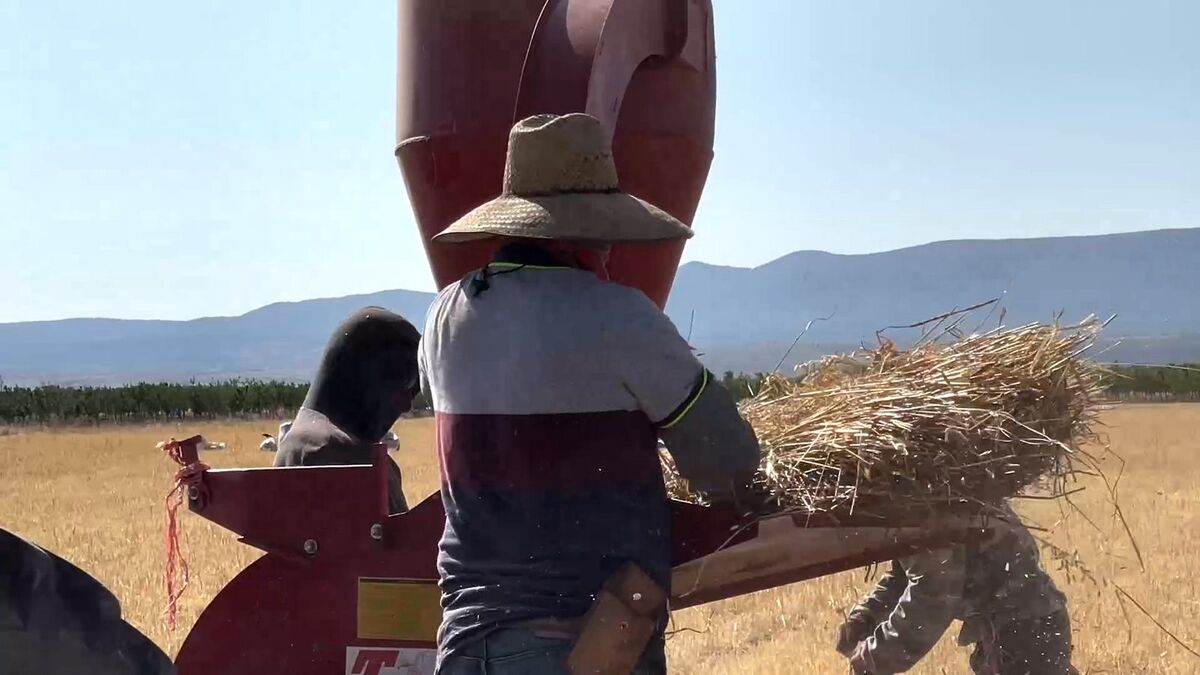 Violencia en el Bajío obliga a agricultores de Zacatecas, Jalisco y Guanajuato a reubicarse | Foto: Omar Hernández H.