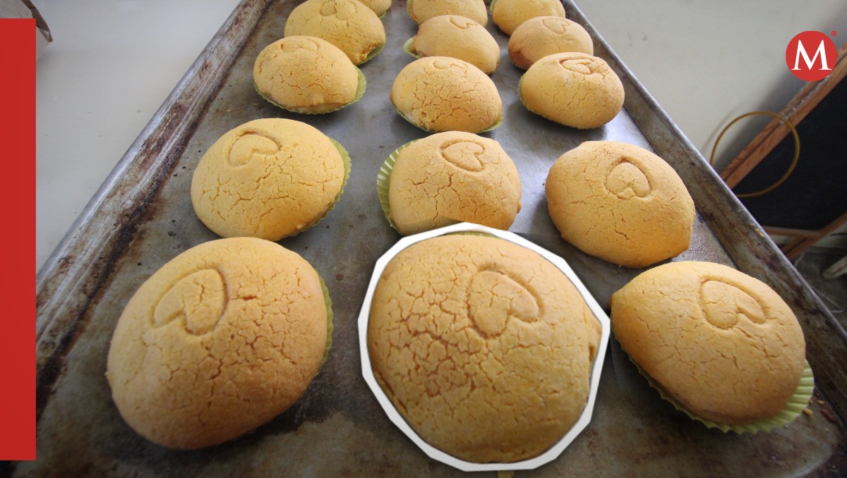 Conchas de jobito. (Yazmín Sánchez
