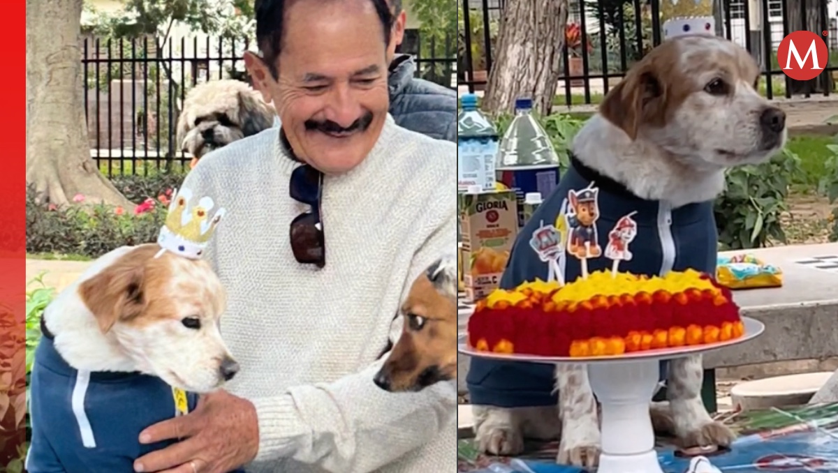 Doguito y su amigo en el cumpleaños. | ESPECIAL