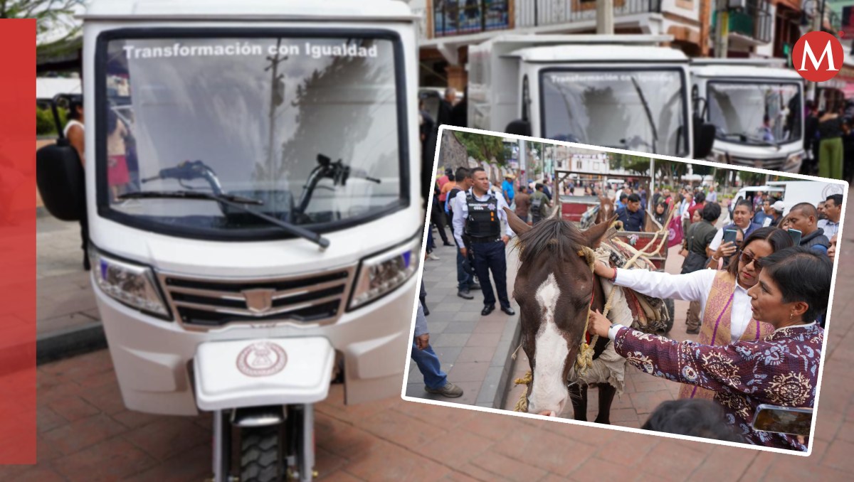En Chimalhuacán intercambian los caballos y burros por carros para evitar que siga el maltrato animal. Foto: (Especial)