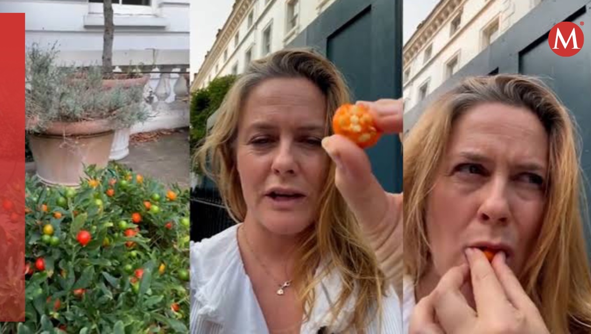 Alicia Silverstone está bien después de comer un fruto venenoso