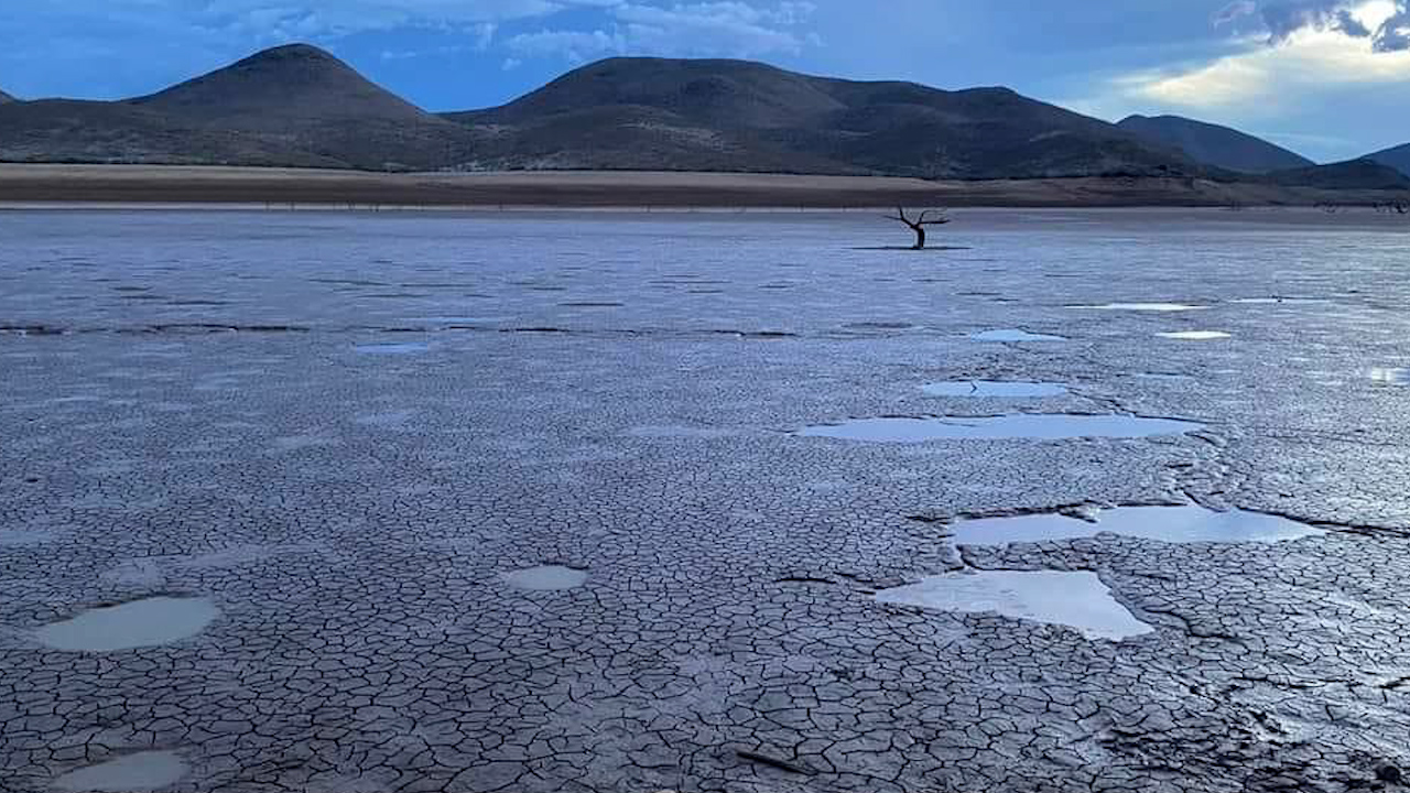 Presa Las Lajas en Chihuahua luce completamente seca por sequía extrema