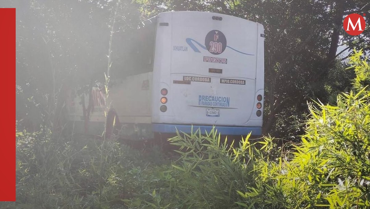 Falla en frenos provoca accidente de autobús en Tomatlán, Veracruz | Especial