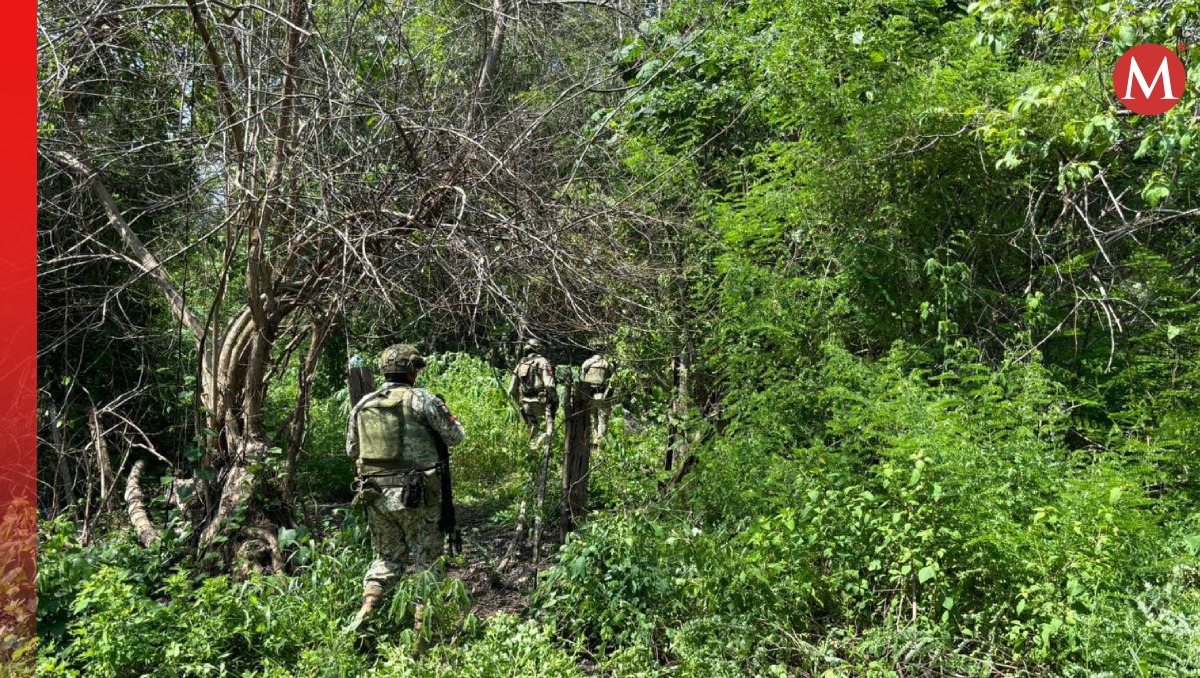 Localizan fosa clandestina y mantienen operativo para descubrir más (Especial)